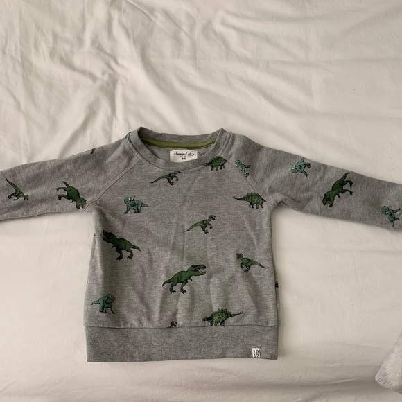 Dinosaur 4T kids Sweatshirt Sovereign code - Picture 4 of 4